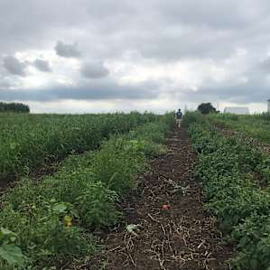 135 year old farm-Near Sioux Falls