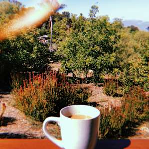Coffee in morning