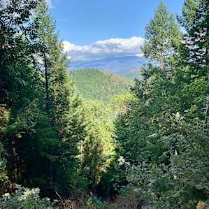 The view from the bathtub and lounge chair. #yurtlife