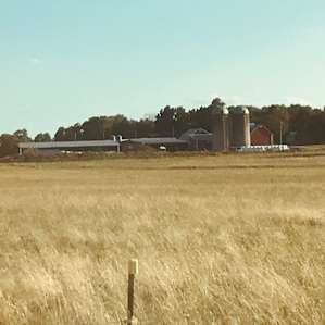 From the north
