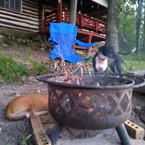 40 acres and a Cave - Cabin 5