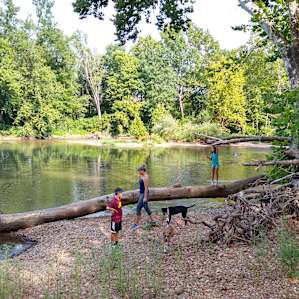 The river is a five minute walk from the cabin. Shallow and cool makes it great for kids, dogs, and adults to swim.