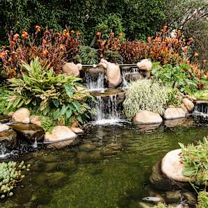 Let your troubles wash away to the sounds of the water flowing in the backyard pond.