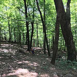 Beautiful woods with lots of elevation and awesome trails... Can't imagine this place in fall!