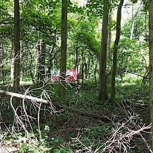 Campsite tucked back into the woods