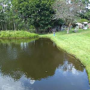 Pond stocked with fish