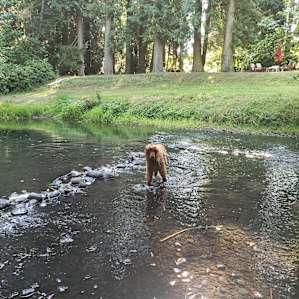Salmon Creek Riverside Retreat