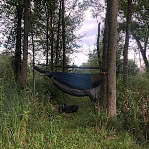 Limited hammock spots but worked!