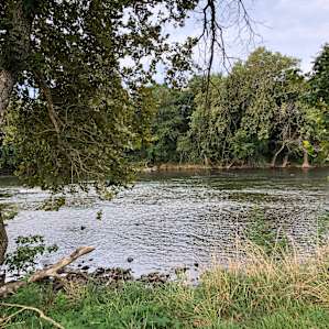 Riverfront Campsite