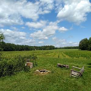 Rustic Bliss at Feel Good Farm