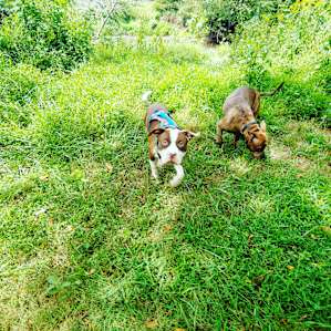 Just exploring our surroundings