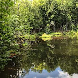The Pond Cabin