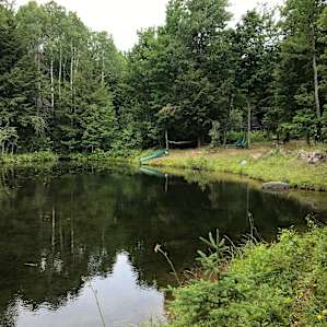 The Pond Cabin