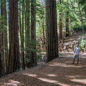 Portola Redwoods Campground