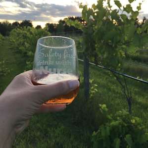 Flying "L" Vineyard