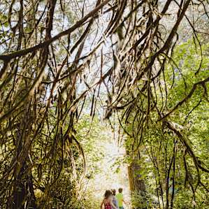 Salmon Creek Riverside Retreat