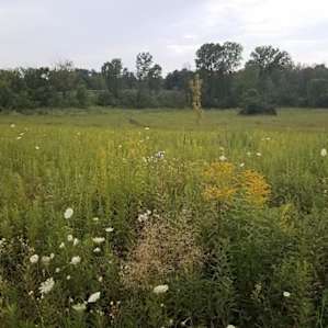 McDundee Hollow
