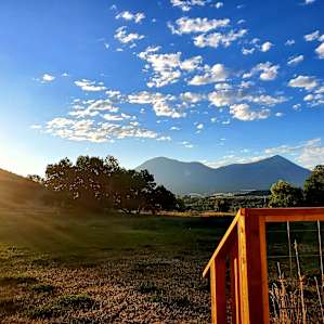 The morning view!