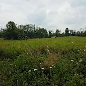 McDundee Hollow