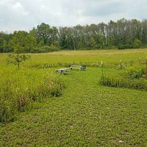 McDundee Hollow