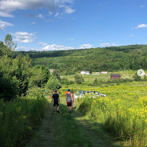 Forested Tent Sites