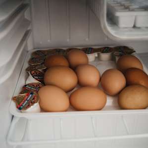 Fresh eggs. From fresh chickens. That live like 50 yards away.