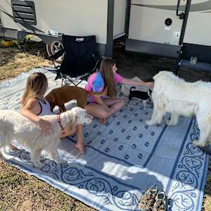 Doggie visit