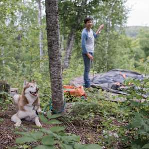 It's great to have a dog friendly location!