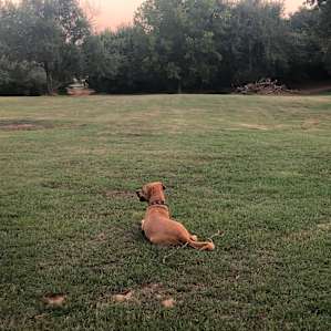 Firefly Campground