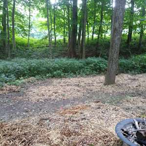 Permaculture Paradise