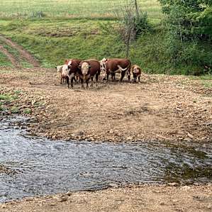 100 Acre Organic Farm