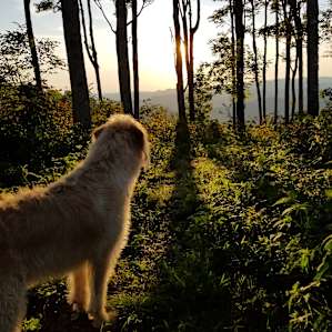Haw Ridge, Mars Hill NC