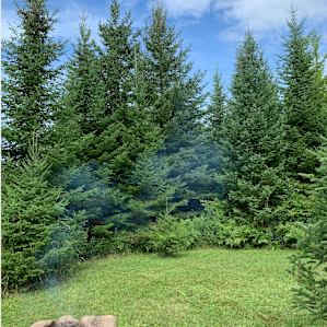 Shadow Oak Campground