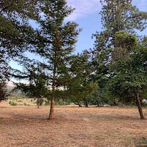 Dispersed camping