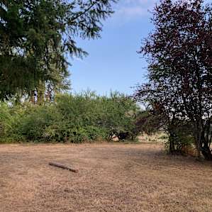Dispersed camping