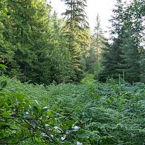 Cascadia Center Camp