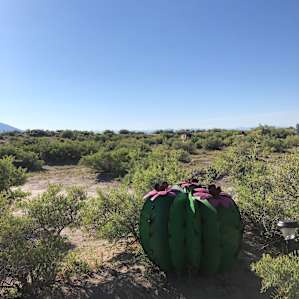 Rabbit Cove Campsite