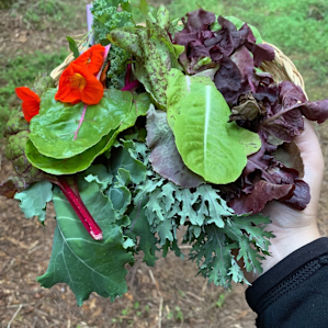 the garden goods Nathan brought us
