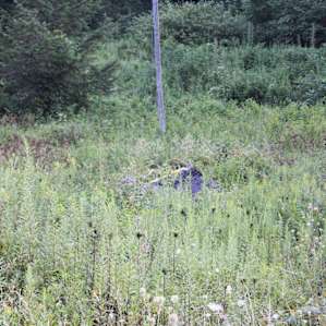 Some trash in the field made the lot feel very unwelcoming and dirty.