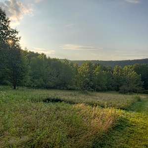 Woodland Dwelyng at Steady Slope