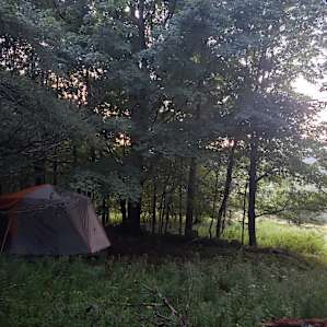 Woods offered plenty of shade