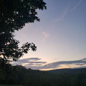 Woodland Dwelyng at Steady Slope