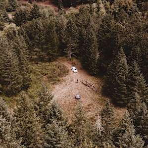 Z Outdoor Woods