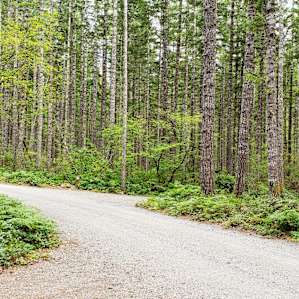 Big Creek Campground