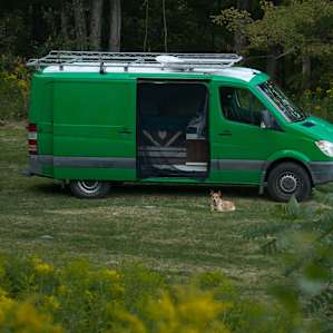 Finn loved wandering our site, with plenty of space to wander.
