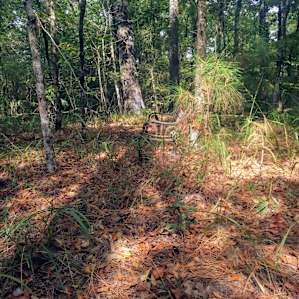 TRAILS