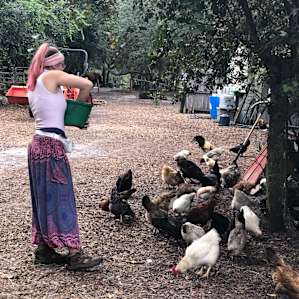 Woodbury Farms