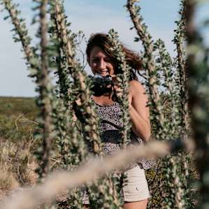Really cool cacti (I think?) on the property.