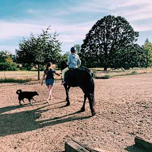 Summer bliss on a farm.