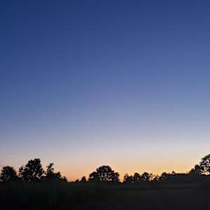 Thorndon Field and Dale